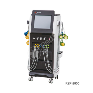 RZP-2700 / RZP-2800 / RZP-2900 中频干涉波治疗仪